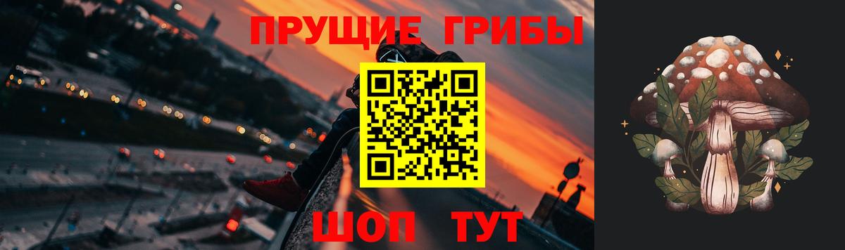 Галлюциногенные грибы Psilocybine cubensis  Вход с VPN  Бахчисарай 